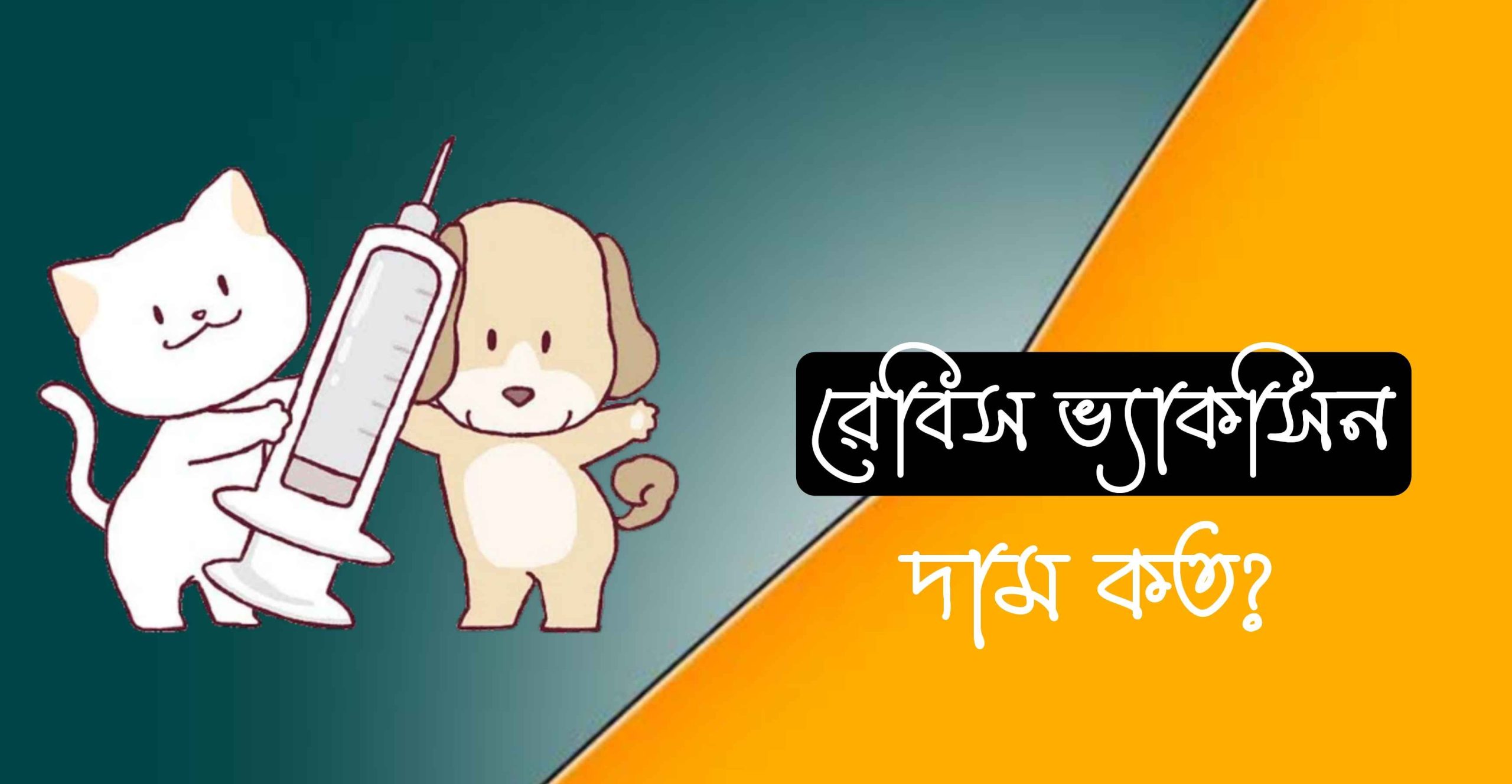 রেবিস ভ্যাকসিন এর দাম বাংলাদেশে?